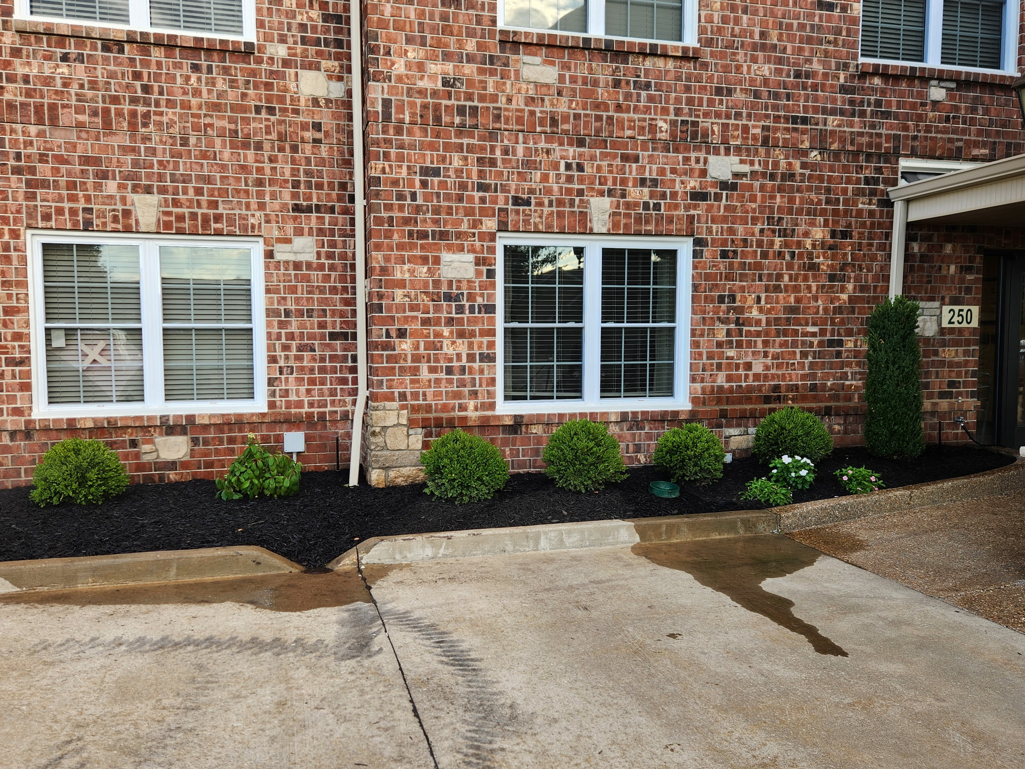 Magana Magicscapes landscaping work